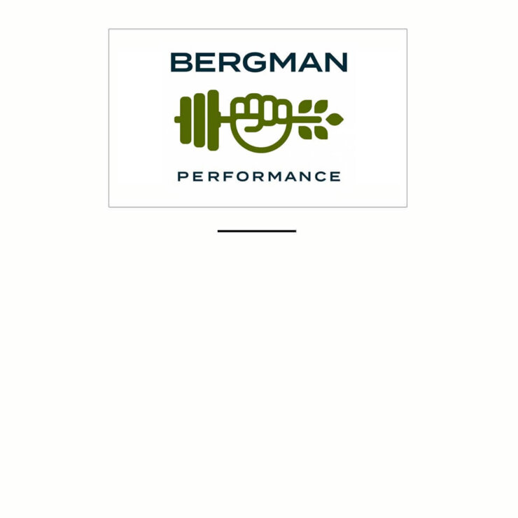 Bergman Performance